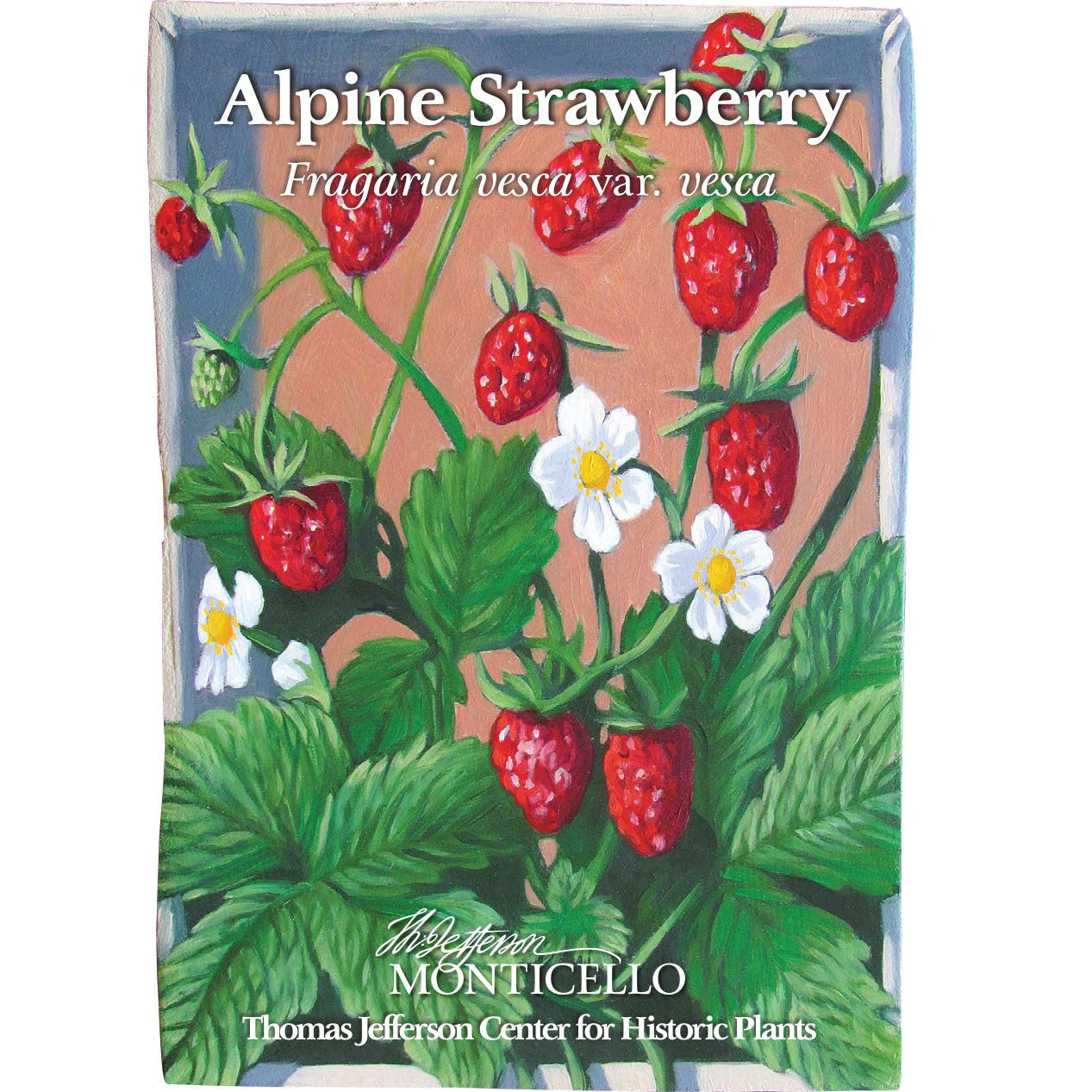 Alpine Strawberry Seeds (Fragaria vesca var. vesca) - Image 4