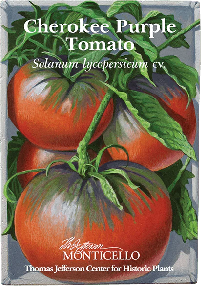 Cherokee Purple Tomato Seeds (Solanum lycopersicum cv.) - Image 3