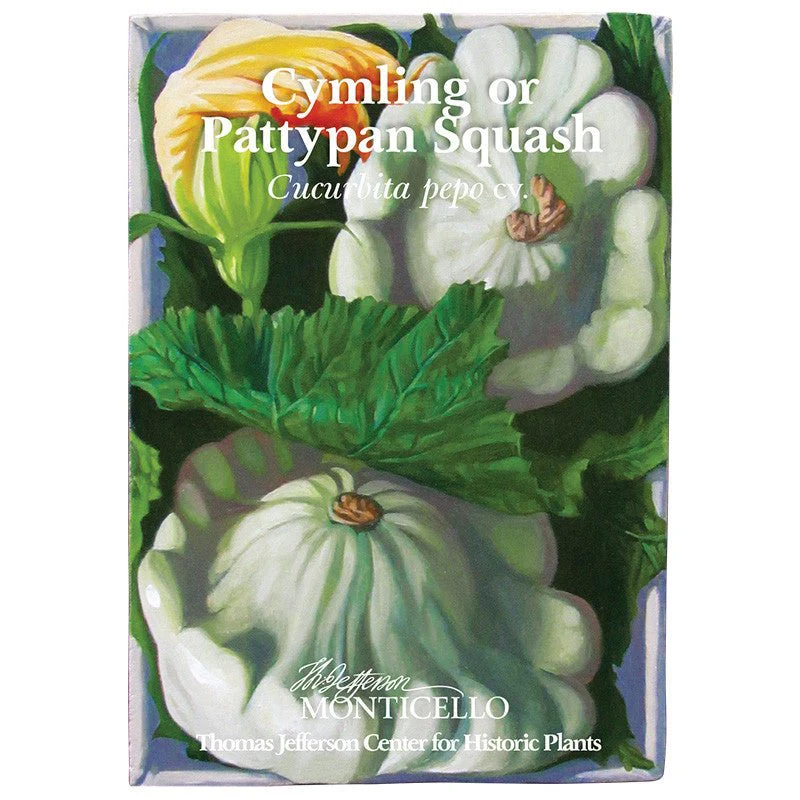 Cymling or Pattypan Squash Seeds (Cucurbita pepo) - Image 5