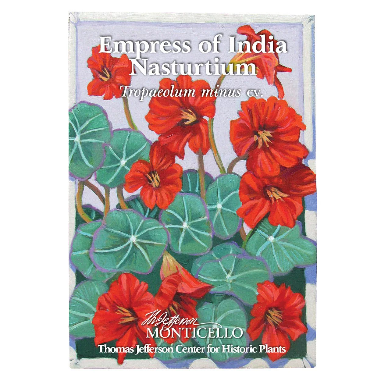 Empress of India Nasturtium Seeds (Tropaeolum minus cv.) - Image 3