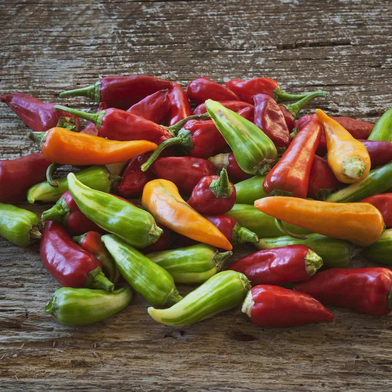 Fish Pepper Seeds (Capsicum annuum) - Image 3