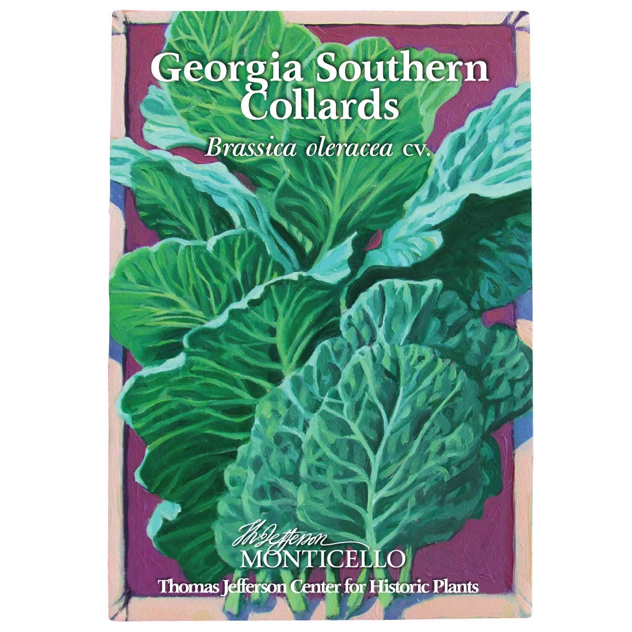 Georgia Southern Collards Seeds (Brassica oleracea cv.) - Image 2