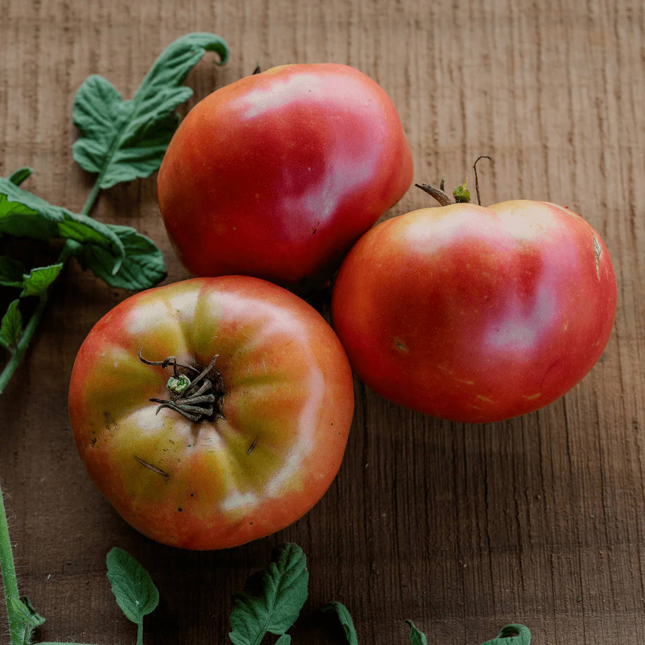 German Johnson Tomato Seeds (Solanum lycopersicum cv.)