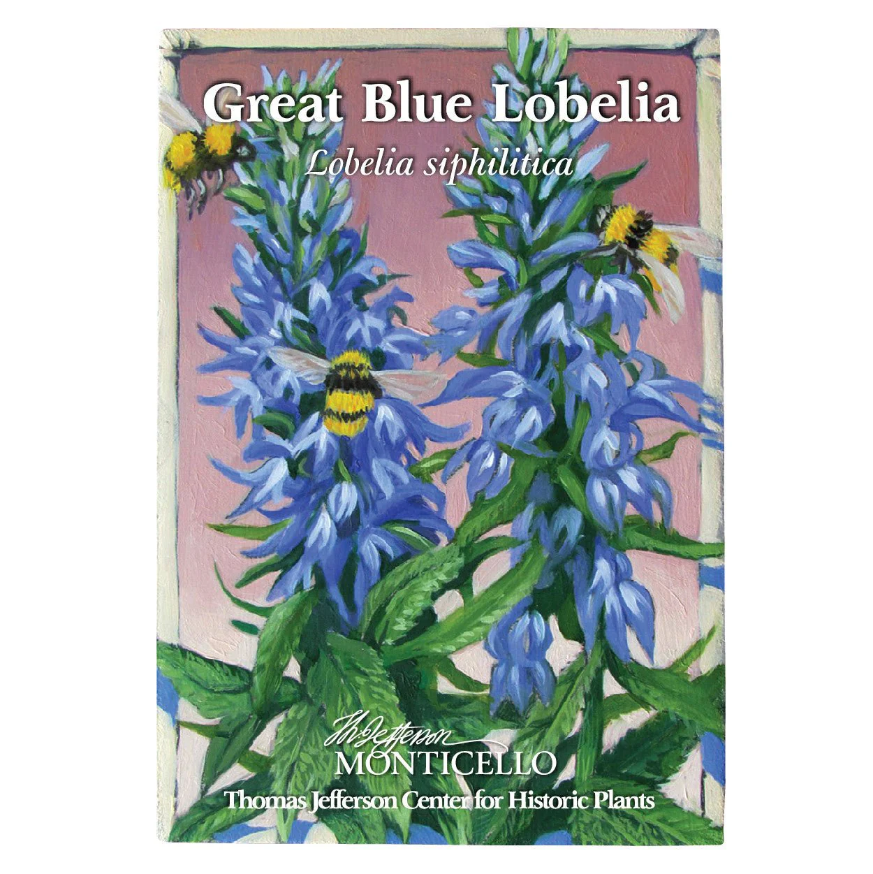 Great Blue Lobelia Seeds (Lobelia siphilitica) - Image 4