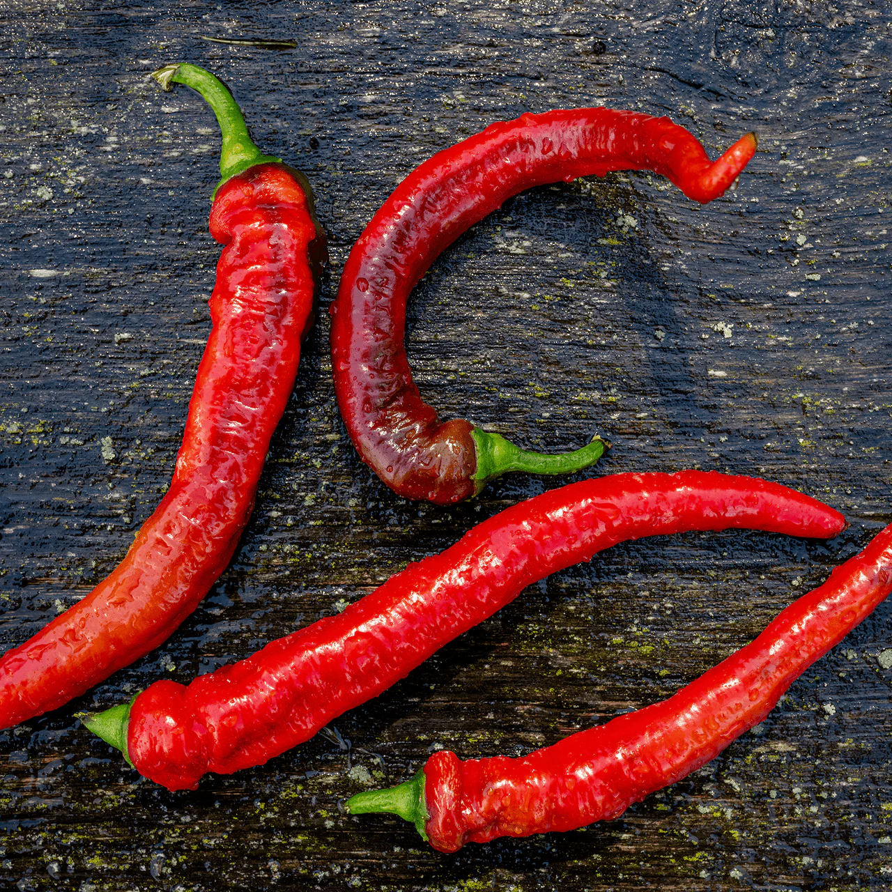 Jimmy Nardello's Sweet Pepper Seeds (Capsicum annuum var. annuum) - Image 2
