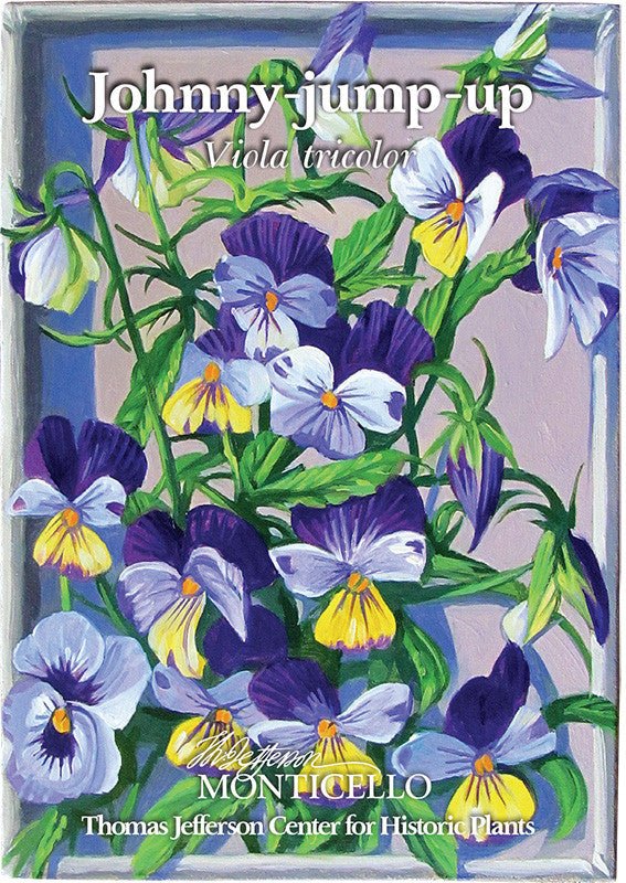 Johnny Jump Up Seeds (Viola tricolor) - Image 4