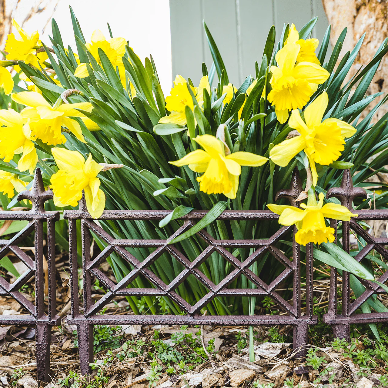 Monticello Chippendale Cast Iron Garden Fence - Image 4