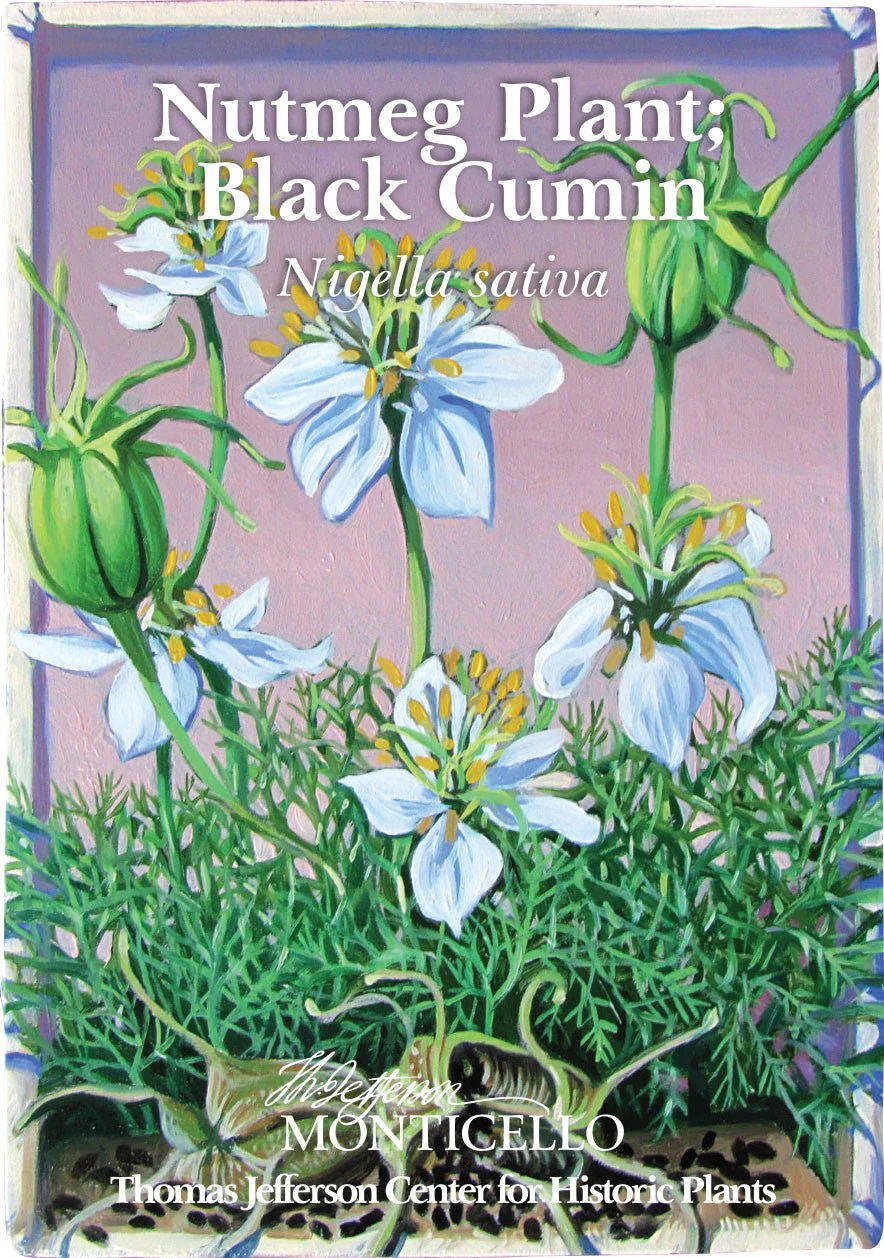Nutmeg Plant; Black Cumin Seeds (Nigella sativa) - Image 3