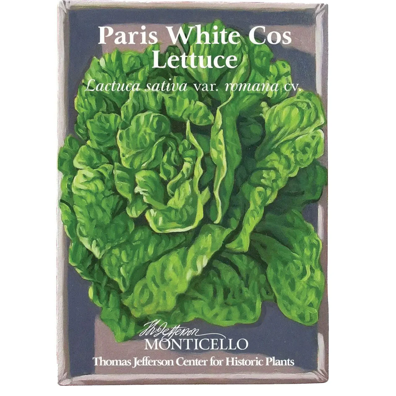 Paris White Cos Lettuce Seeds (Lactuca sativa var. romana cv.)