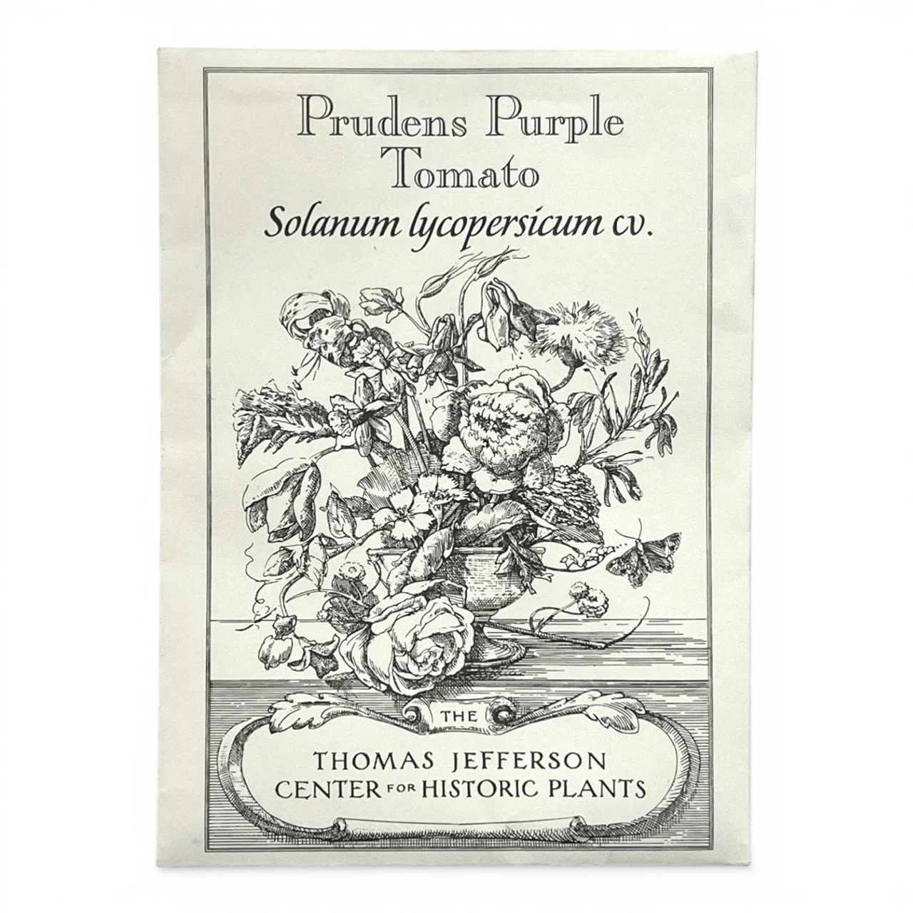 Prudens Purple Tomato Seeds (Solanum lycopersicum cv.)