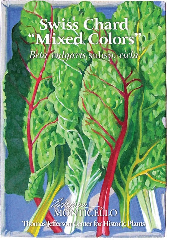 Swiss Chard "Mixed Colors" Seeds (Beta vulgaris subsp. cicla) - Image 5