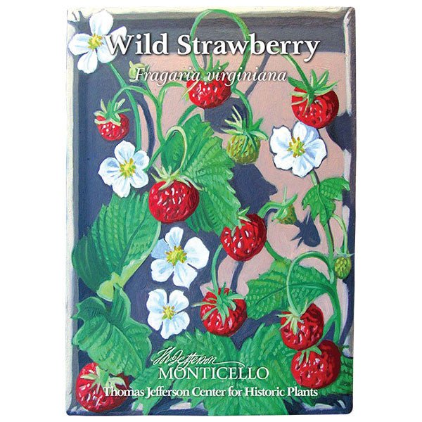 Wild Strawberry Seeds (Fragaria virginiana) - Image 3